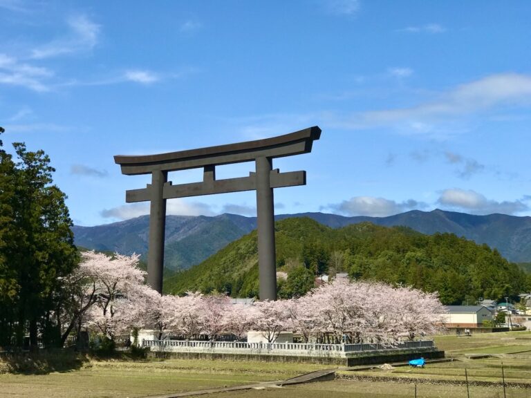 Top Amazing Places Near Nagoya Area for Cherry Blossom Viewing